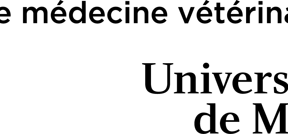 FMV