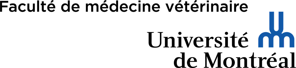 FMV