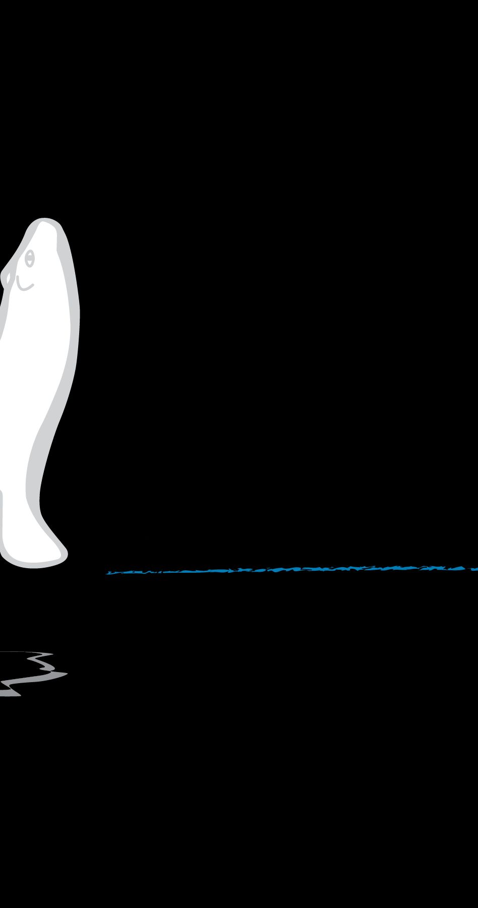 Nunavut Wildlife Management Board