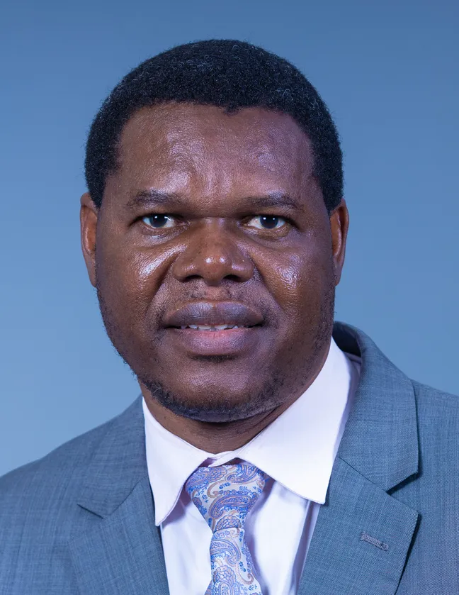 Professor Godwell Nhamo