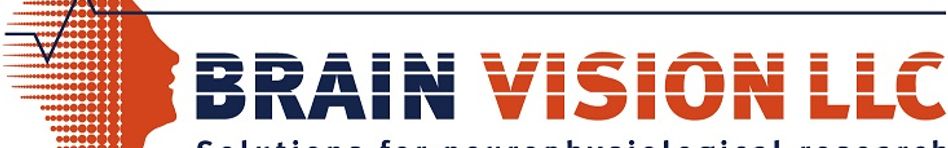 brain_vision_logo.jpg