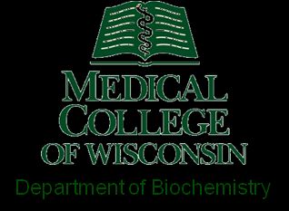 Medical College of Wisconsin.png