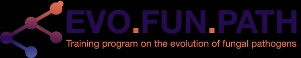 EVO.FUN.PATH