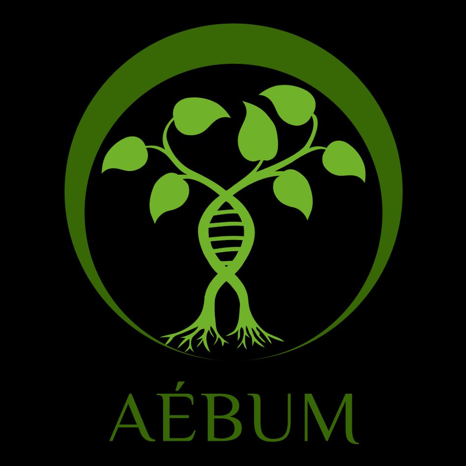 AEBUM