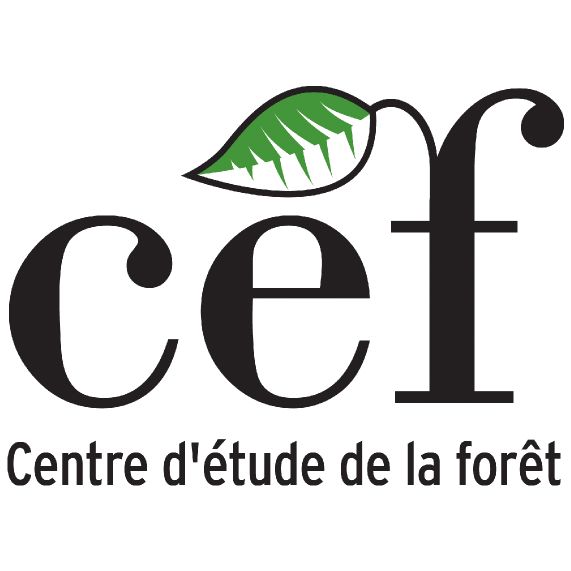 CEF