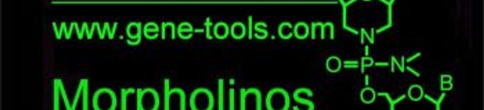 Afternoon Break Sponsor