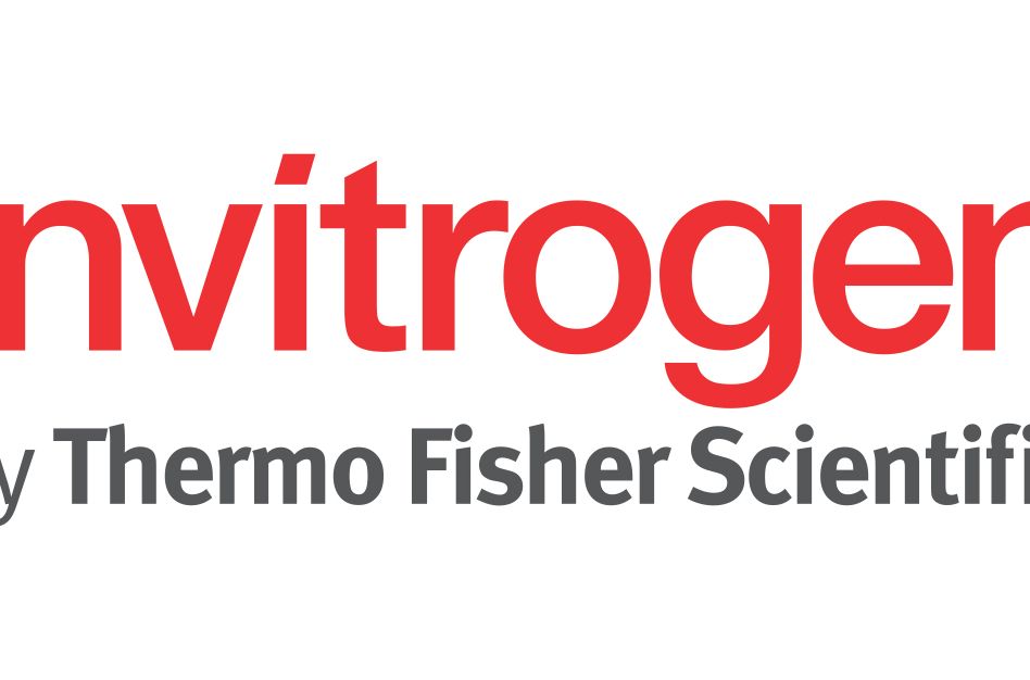 Invitrogen by Thermo Fisher Scientific