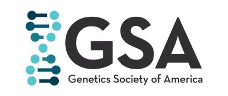 GSA