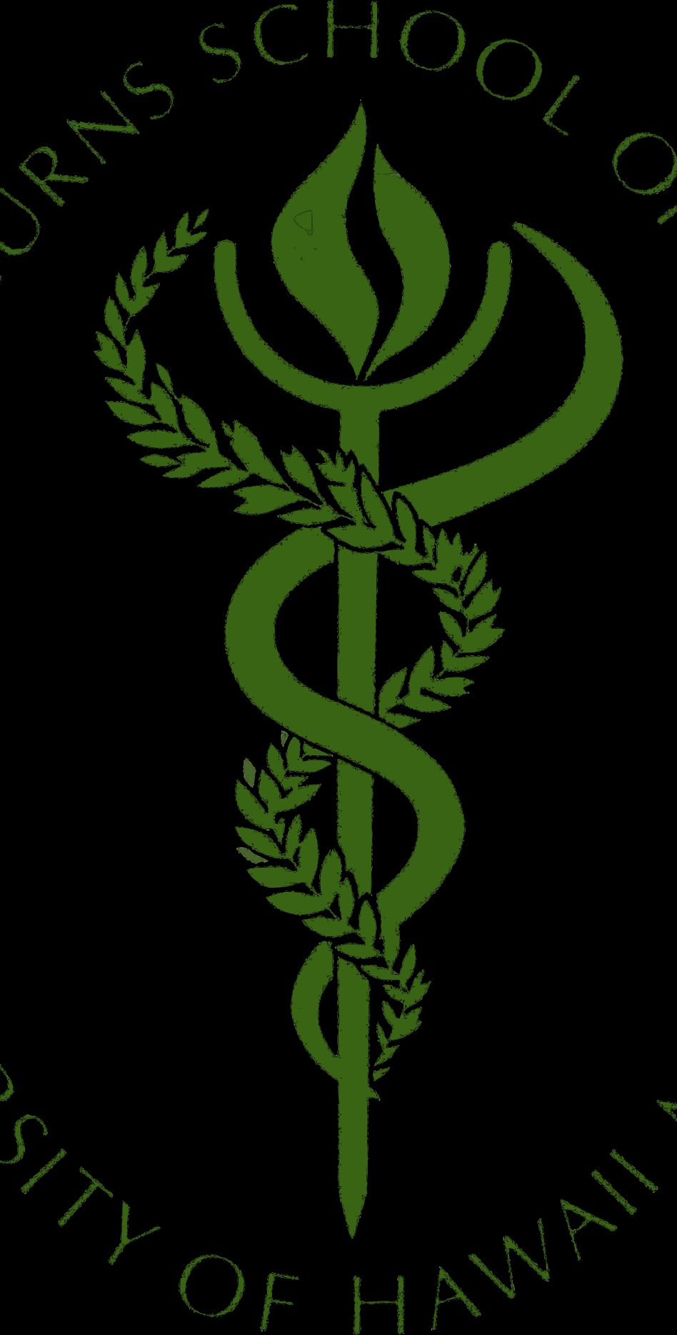 John A. Burns School of Medicine - Department of Geriatrics