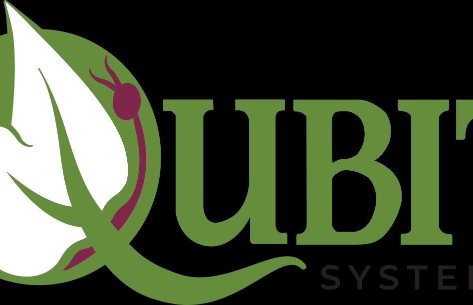 Qubit Systems Inc.