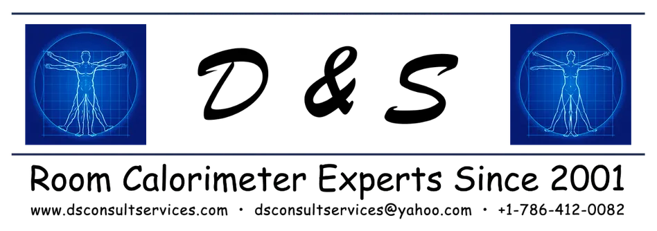 D&S Consulting