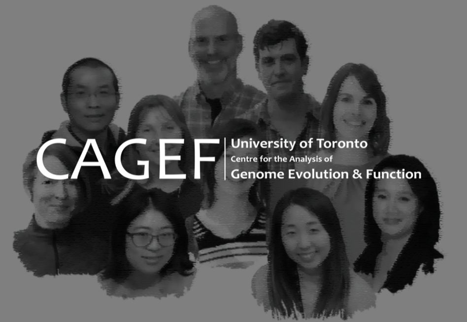 Centre for the Analysis of Genome Evolution and Function (CAGEF)