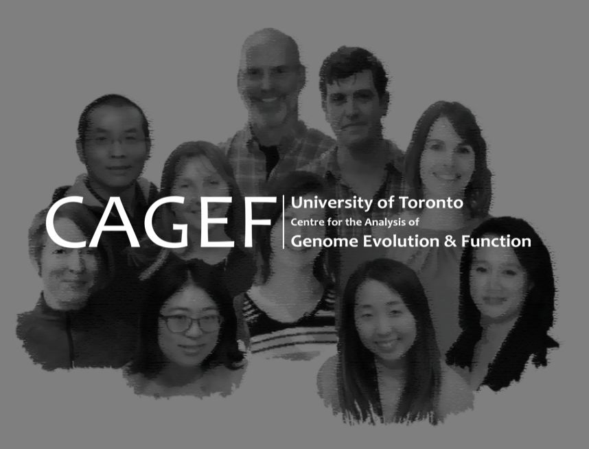 Centre for the Analysis of Genome Evolution and Function (CAGEF)
