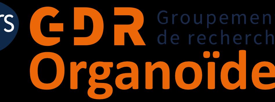 GDR ORGANOIDES