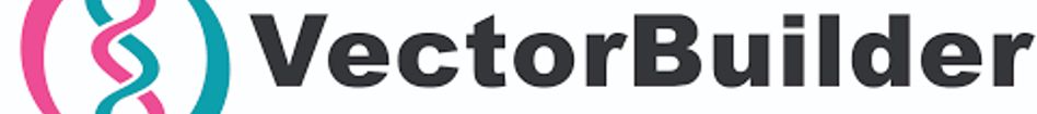 VECTORBUILDER