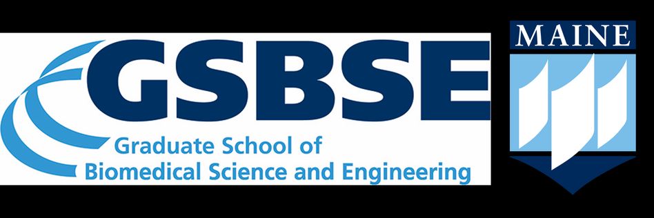 The University of Maine