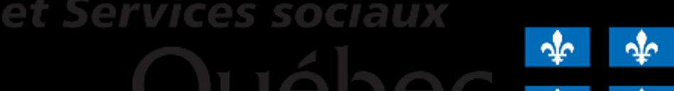 Ministère de la Santé et des Services sociaux (MSSS)