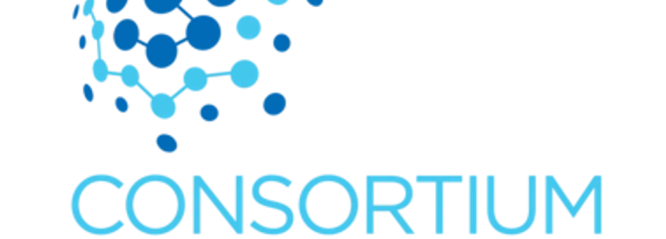 Consortium Santé Numérique 