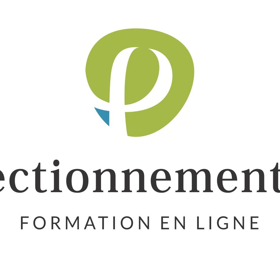 perfectionnement.com