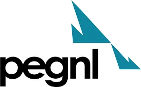 Professional Engineers and Geoscientists Newfoundland and Labrador