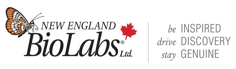 New England Biolabs