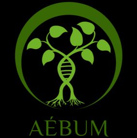 aebum
