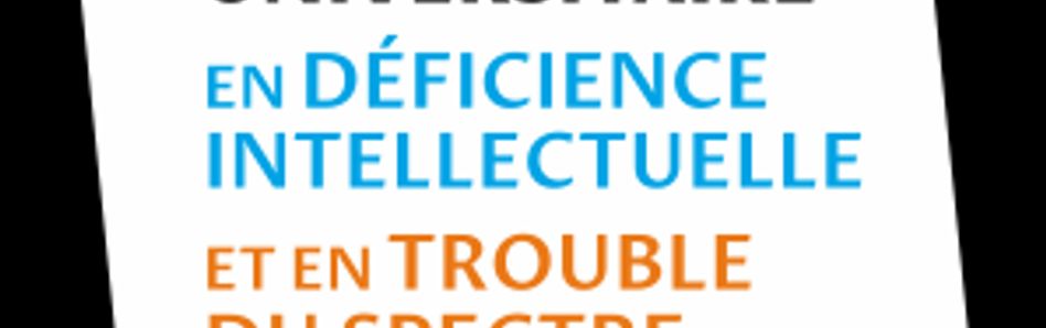 Institut universitaire en DI et TSA