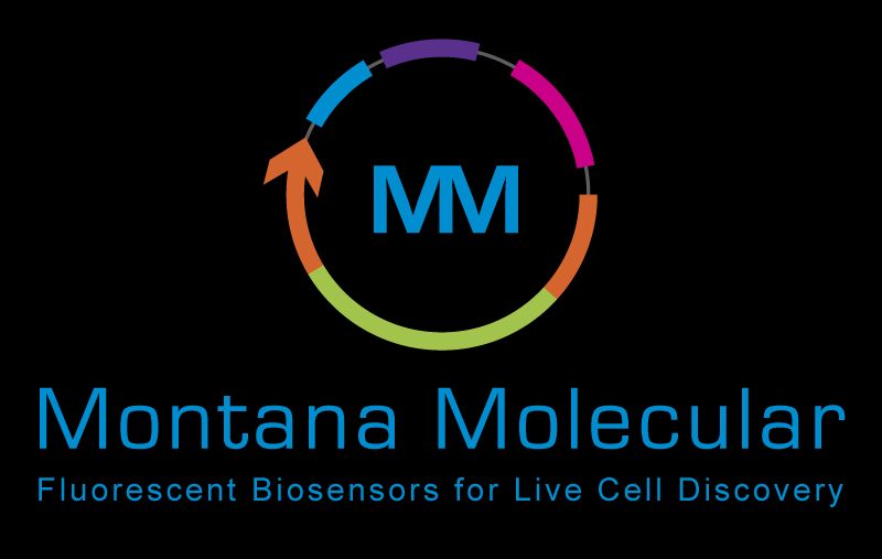 Montana Molecular