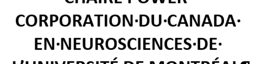 Chaire Power Corporation